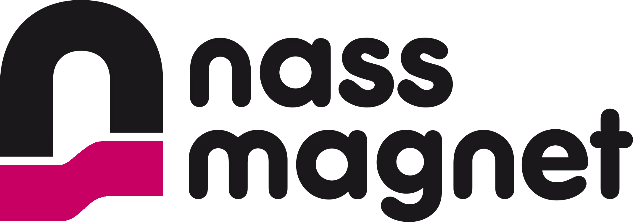 NASS Logo